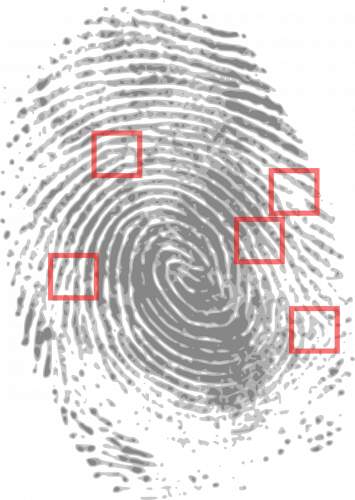 Fingerabdruck