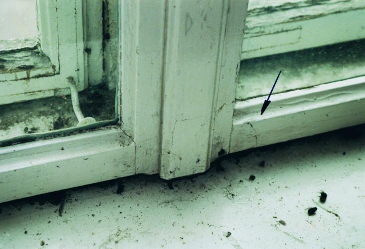 Profilierung mit Hohlkehle