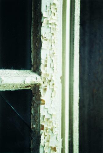 Anstrich der sich großflächig vom Untergrund ablöst