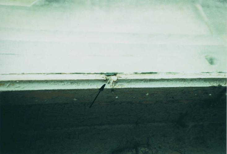 Stelle mit herausgeschnittener Sprosse