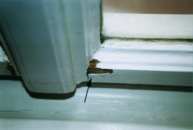 unzureichende Haftung durch unfachmännsichen Ausgleich mit Spachtelmasse