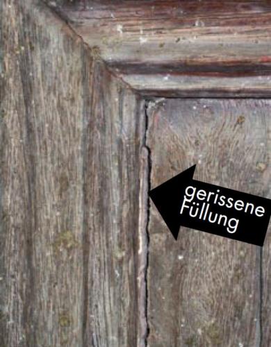 Detailschaden Flügel